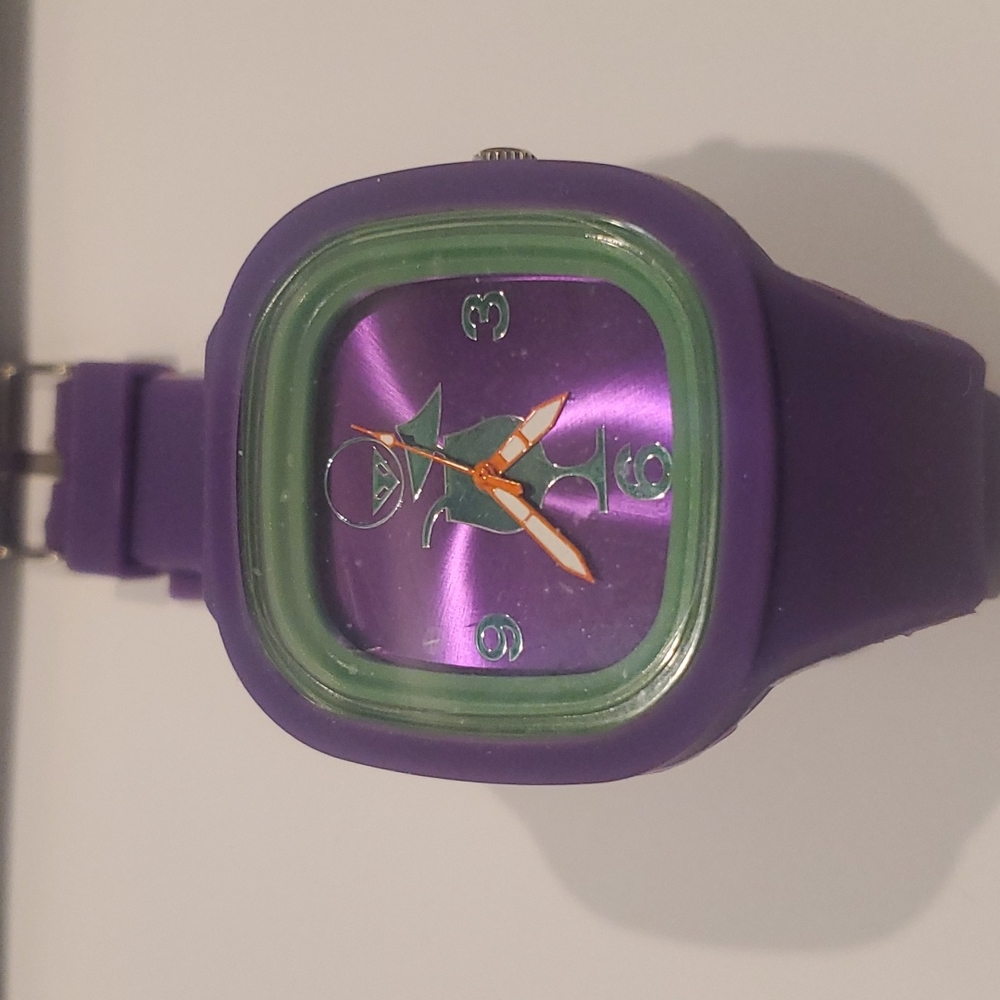 Crow Unisex Watch